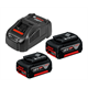 Batteries 18V 5,0Ah (x2) et chargeur Bosch GBA + GAL 1880 CV